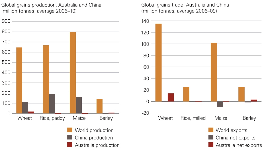 While Australia is an important global producer of wheat, average production between 2006 and 2010 of 18 million tonnes was significantly less than China�s average of 112 million tonnes.  World production averaged 669 million tonnes.  The difference between Australian and Chinese production is much greater for rice and maize (corn), partly because China grew a larger share of world production but largely because Australian production was very small (0.3 million tonnes each).  Both Australia and China are 