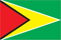 Flag of Guyana