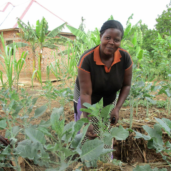 Women in a garden with vegetables