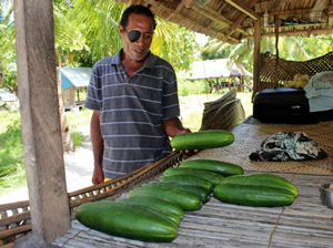 Mr Ritake Tokoki, Chairman of Tamoa village in South Tarawa, with cucumbers grown by farmers in his village under AusAID’s agricultural diversification project, ready for market