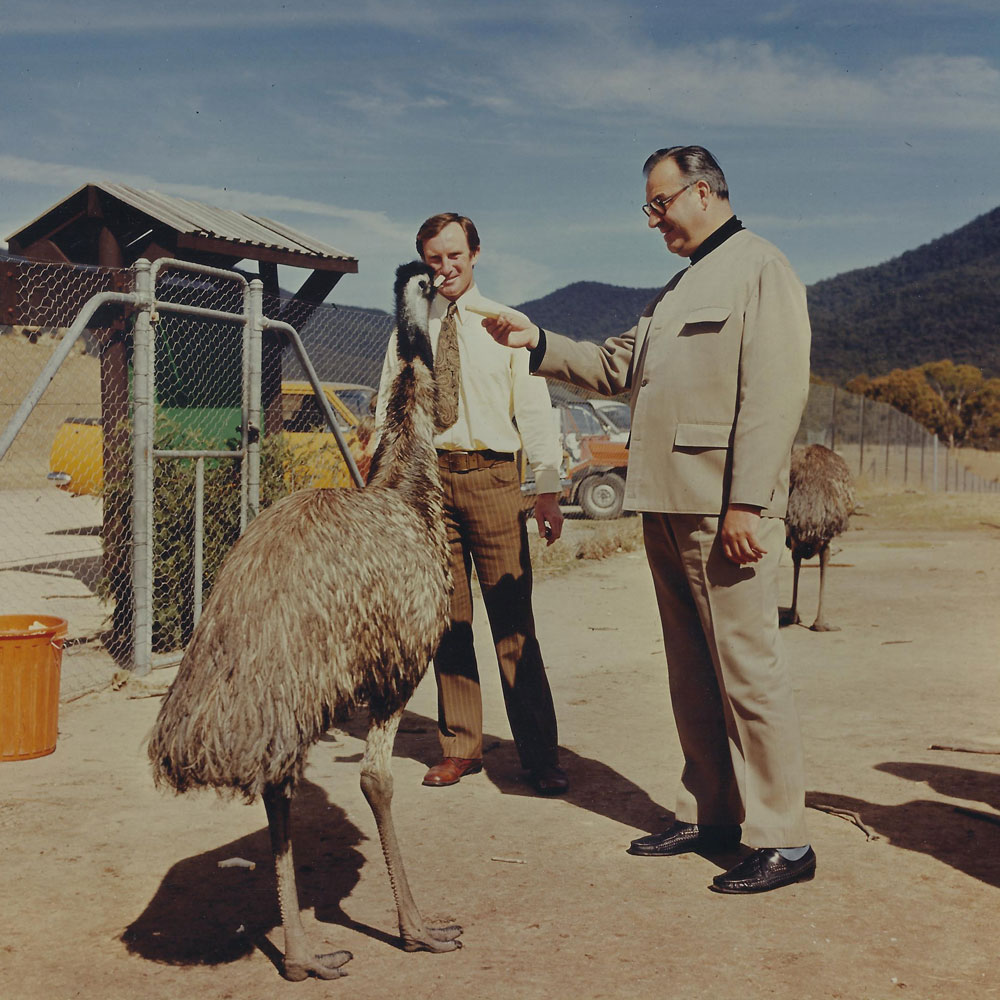 Photo of Dr. Helmut Kohl feeding an Emu with a person and enclosure in the background. 