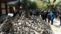 Australian Principals at Bulguk Temple (Photo Prof Shin)