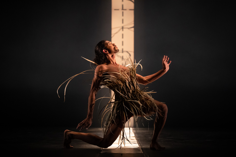 A male dancer poses on one knee while wearing a costume made of long grasses.