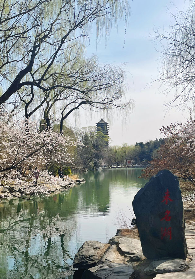 Image of the Weiming Lake with the Boya Pagoda Tower in the background.