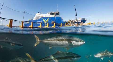 A fishing boat