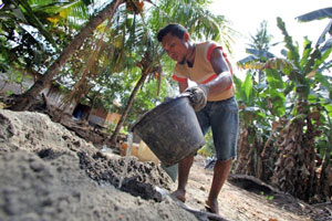 Young man pouring water from a bucket into a hole dug in the ground.