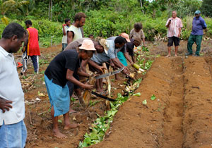 New farming techniques help improve food security | Australian ...