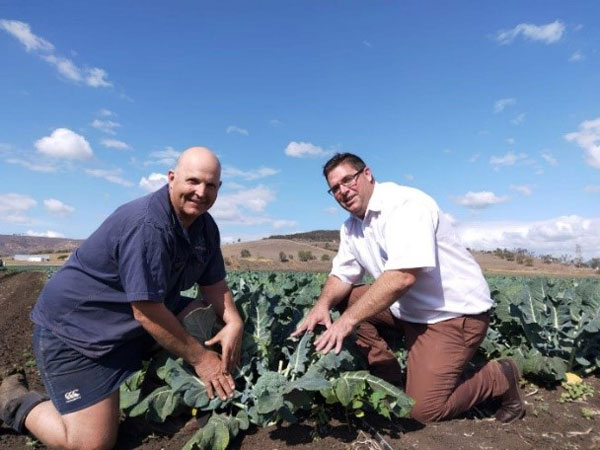 Photo of Jason Windolf and Clinton McGrath bending over to inspect a plant. 