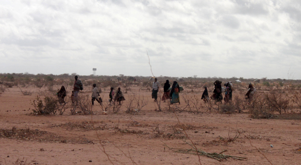 Description: A dozen people carrying bundles walk through a scrubby desert landscape