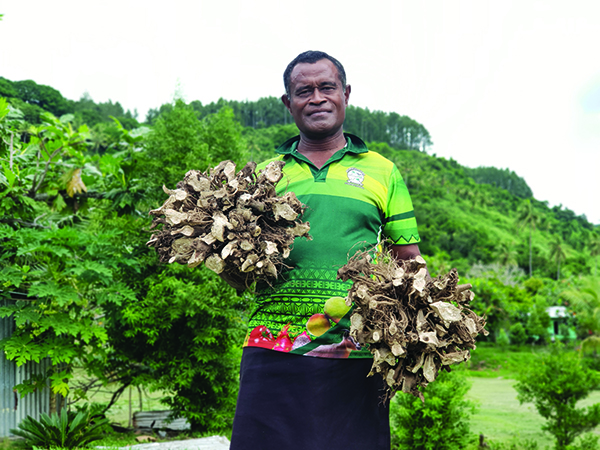 Kava farmer in Fiji