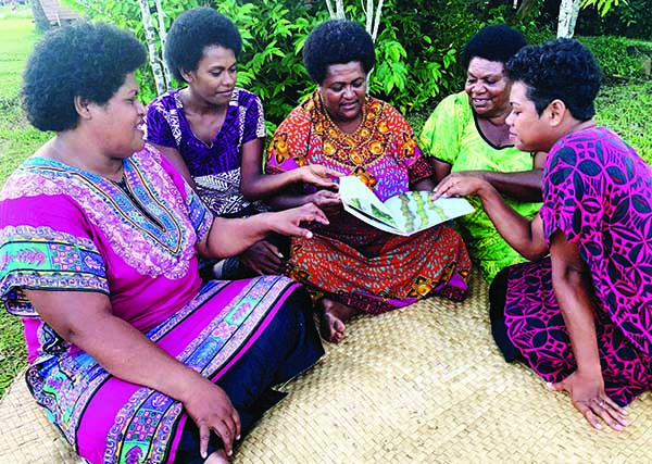 Kava in Fiji