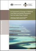 Maldives Coral Reef Damage Report