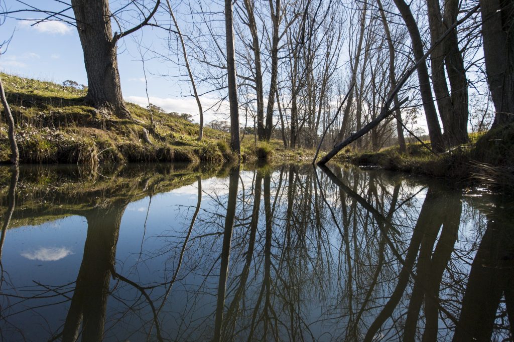 river and river banks with trees