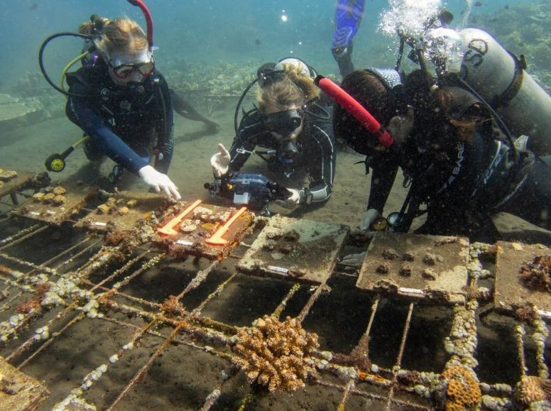 Three scuba divers inspecting a man-made structure on the seabed. 