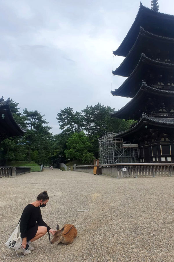 Person feeding a small deer in front of a traditional building