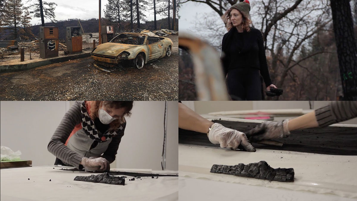 A four photo collage of Cara Despain undertaking works from the Australian Bushfire ashes. 