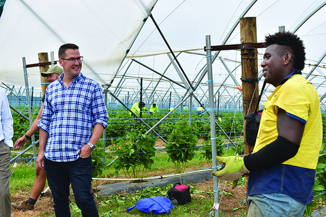 Minister Seselja speaking with Amos, a participant in the Pacific Labour Scheme at Queensland Berries, Caboolture