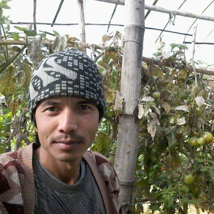 Karna with tomato plants