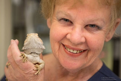 Professor Jenny Graves posing with a frill-neck lizard