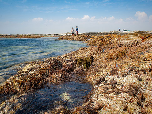 People on rocks near the ocean