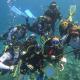 9 people scuba diving.